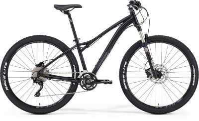 Damen MTB